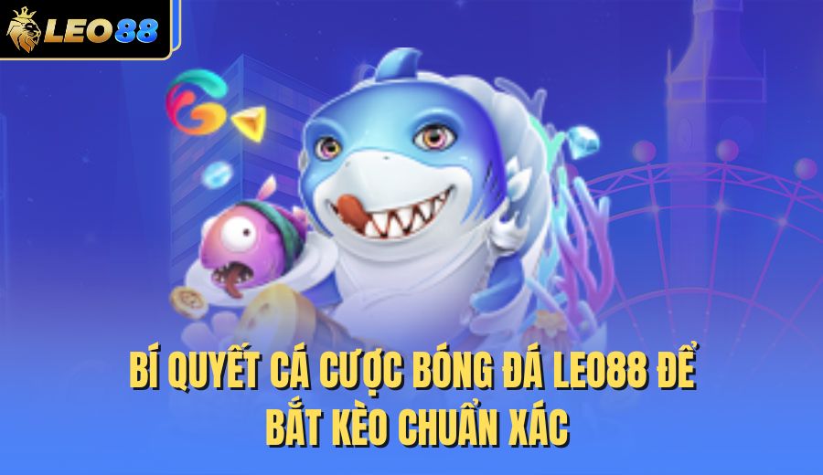 bi-quyet-ca-cuoc-bong-da-leo88-de-bat-keo-chuan-xac