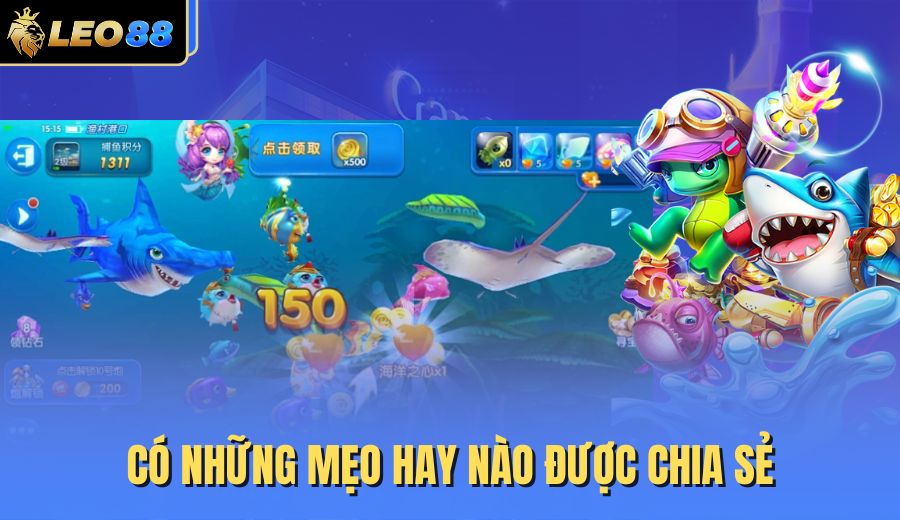 co-nhung-meo-hay-nao-duoc-chia-se